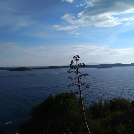 Marinka Viskovic Διαμέρισμα
