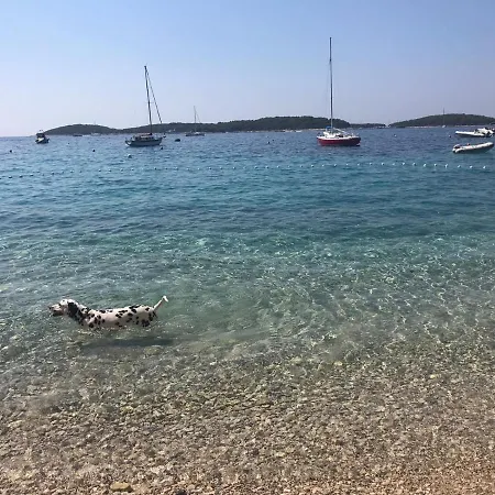 Apartmán Marinka Viskovic