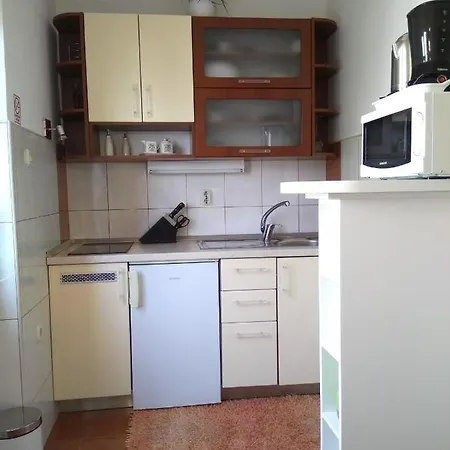 Apartment Marinka Viskovic